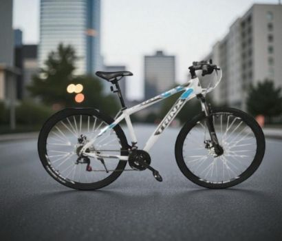 صورة دراجة حديد ترنكس رياضية مقاس 29 - أبيض